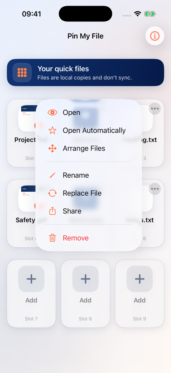 Pin My File’s file menu with Open Automatically beside a star.