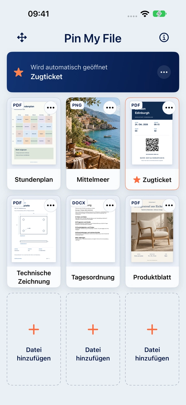 Ein Beispiel-Zugticket, das für das automatische Öffnen ausgewählt ist. Der Screenshot zeigt Vollzugriff.