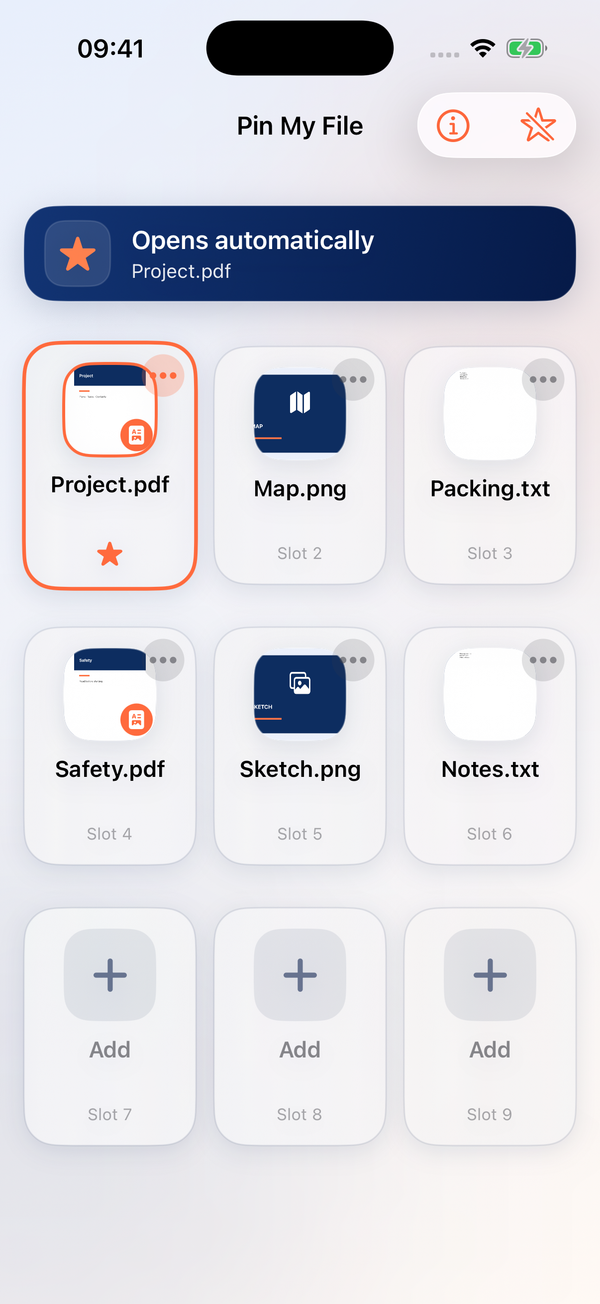 Pin My File 1.1 on iPhone, with a sample file selected to open automatically